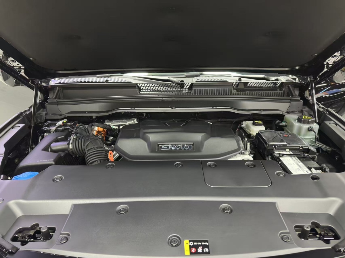 Tank 400 New Energy 2024 #20 Tank 400 New Energy 2024 immagine di auto #20