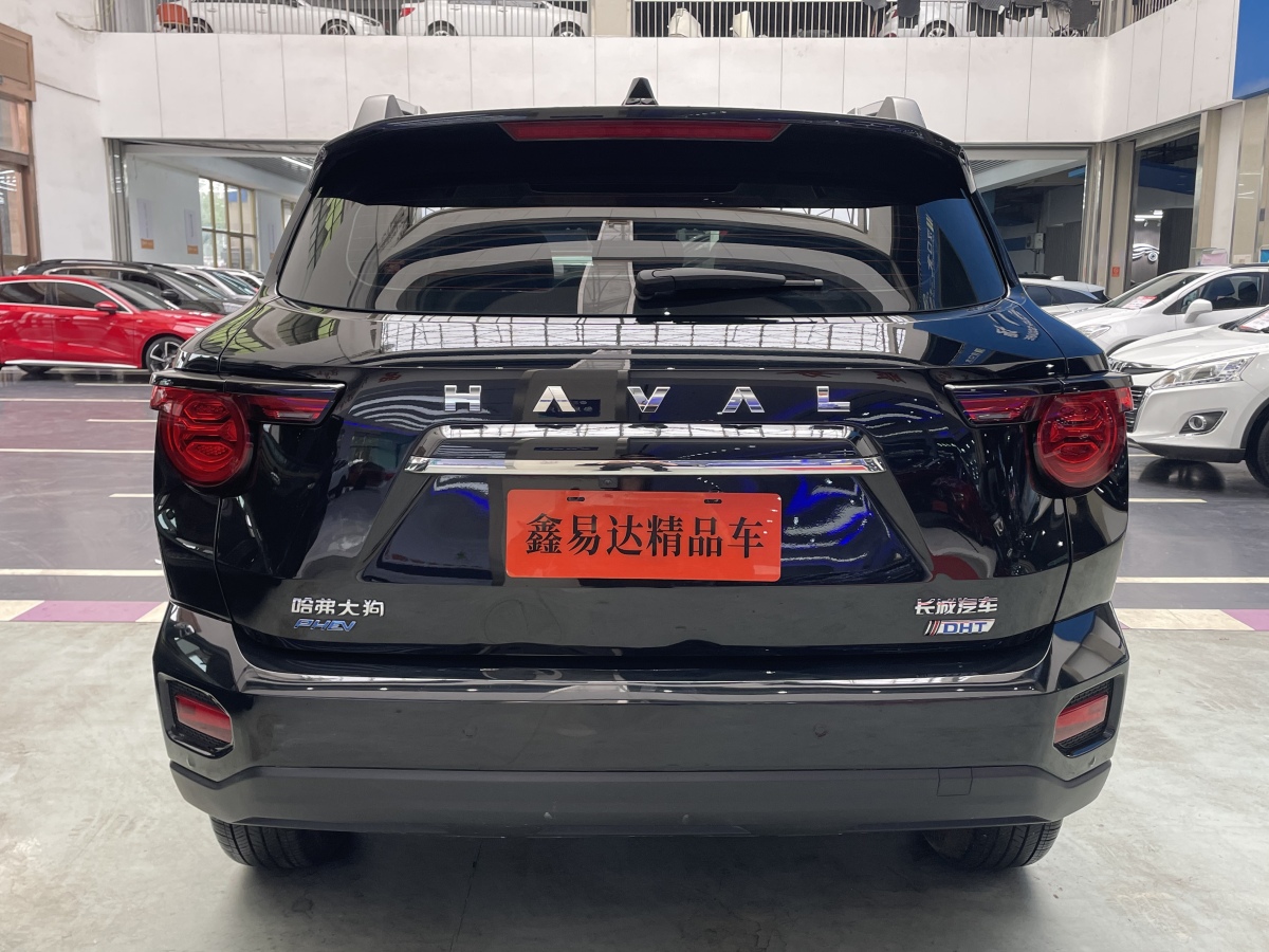 Haval X Dog 2 New Energy 2023 car image #20