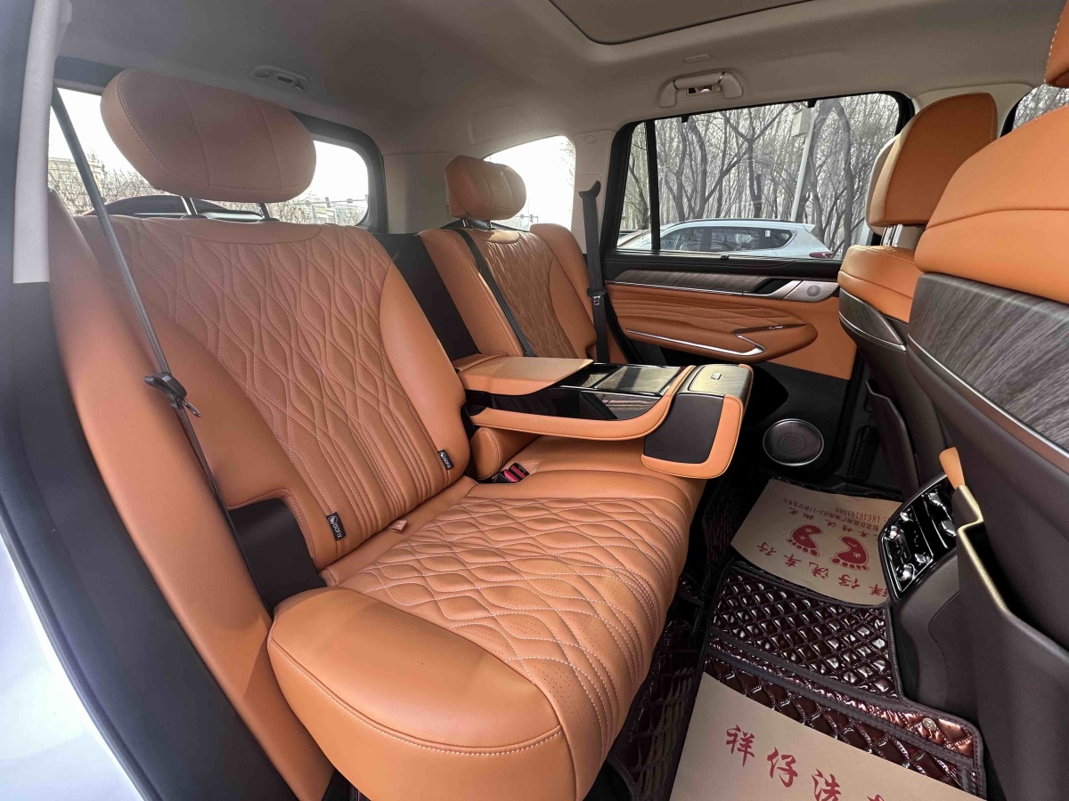 Tank 500 New Energy 2024 car image #20