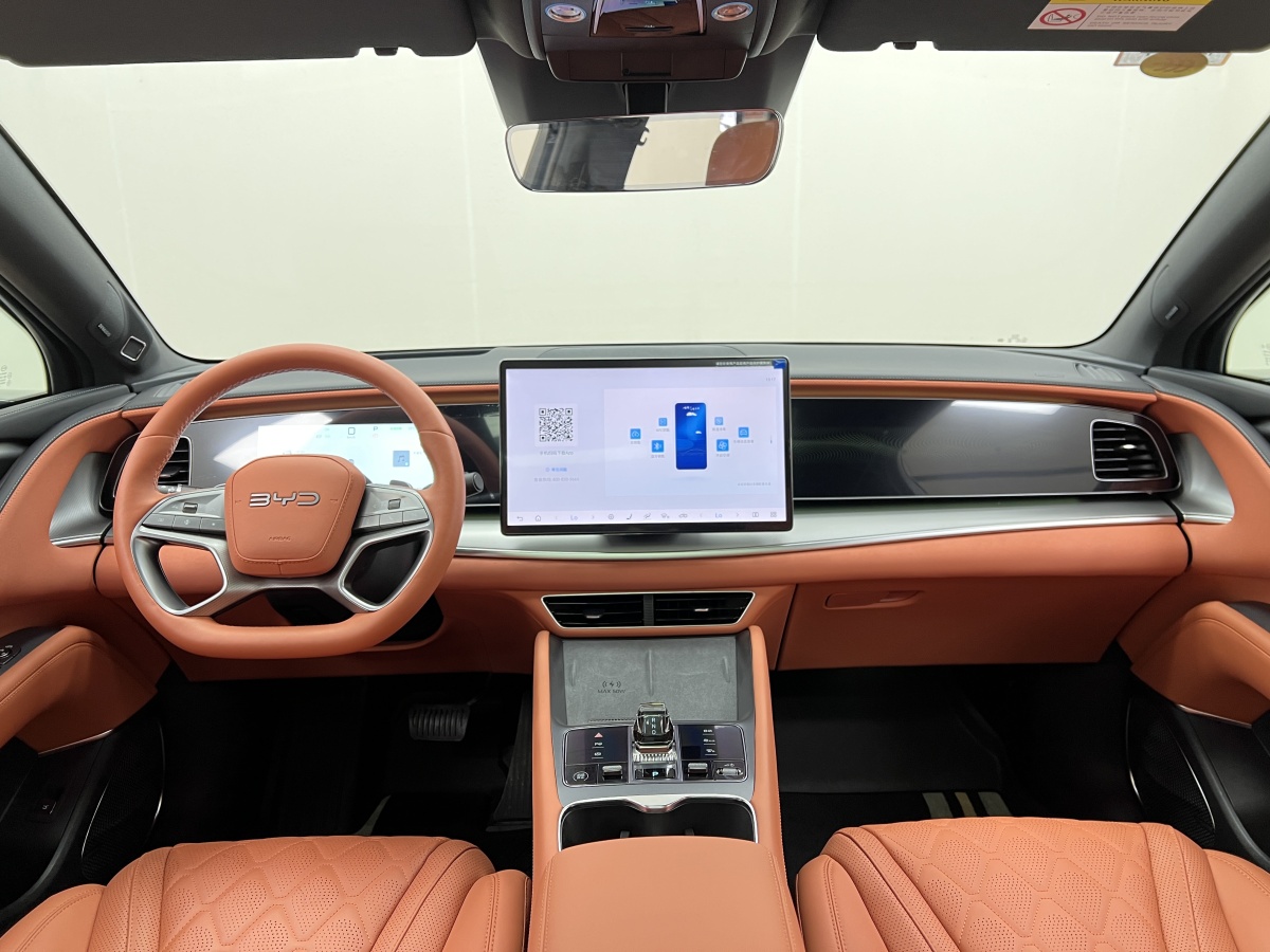 BYD Sea Lion 07 EV 2025 car image #20