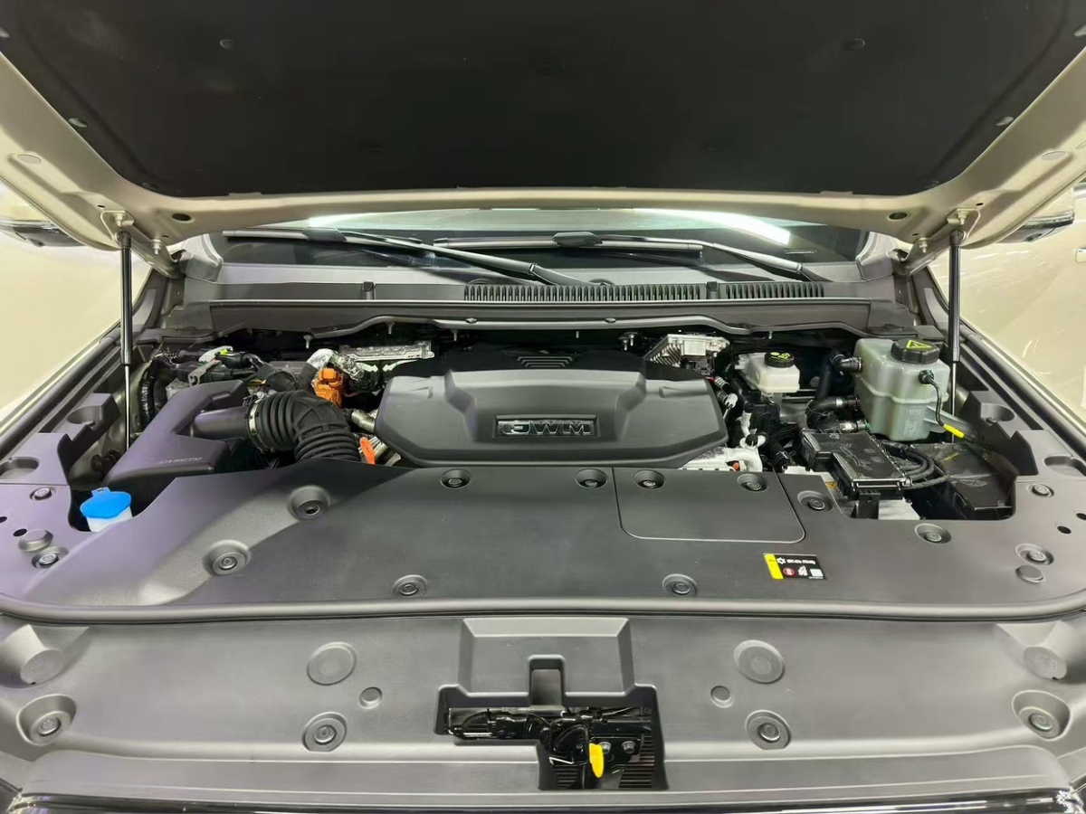 Tank 500 New Energy 2024 car image #20