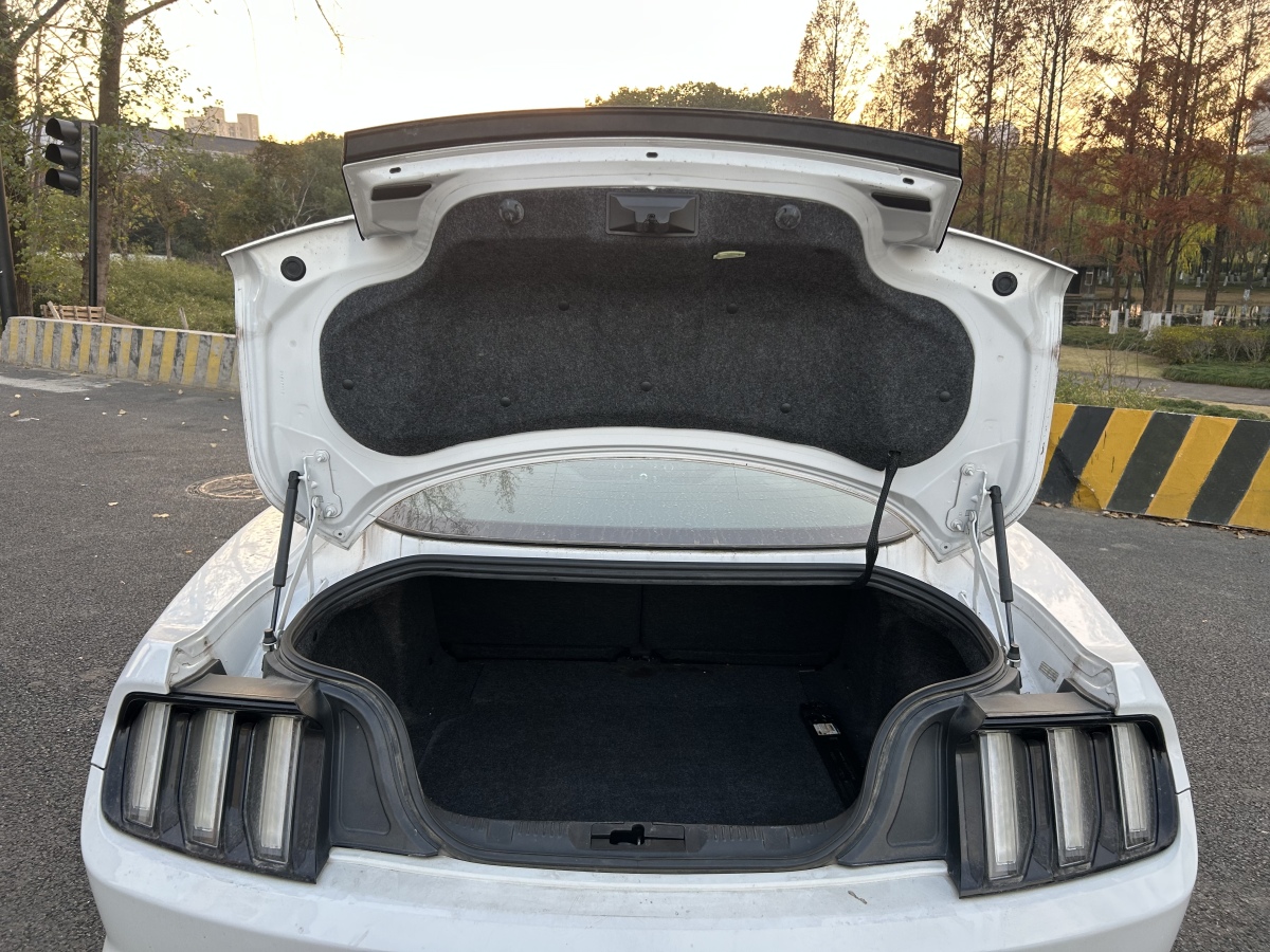 Ford Mustang 2016 #20 Ford Mustang 2016 immagine di auto #20