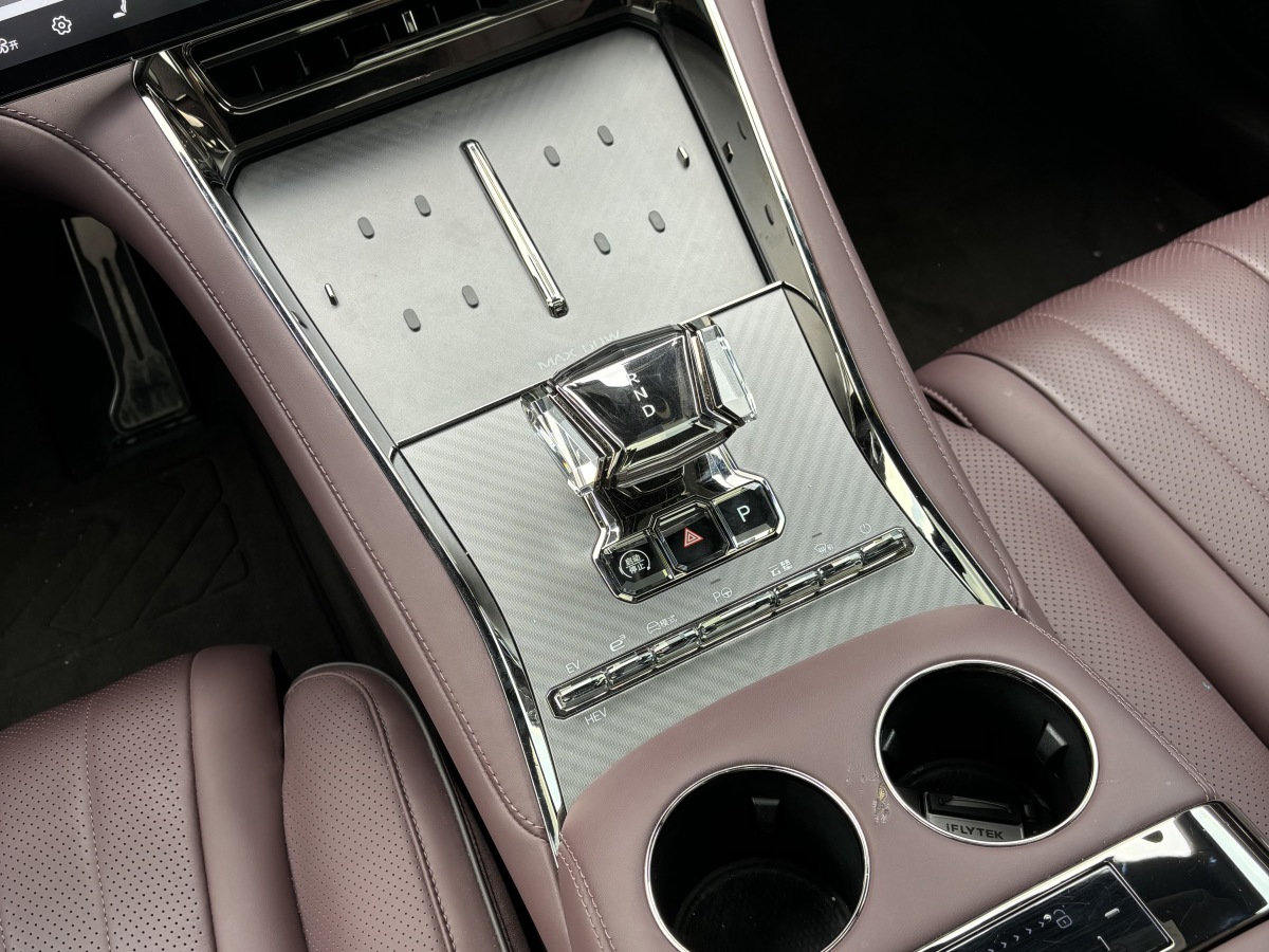 Denza Z9GT 2024 car image #20