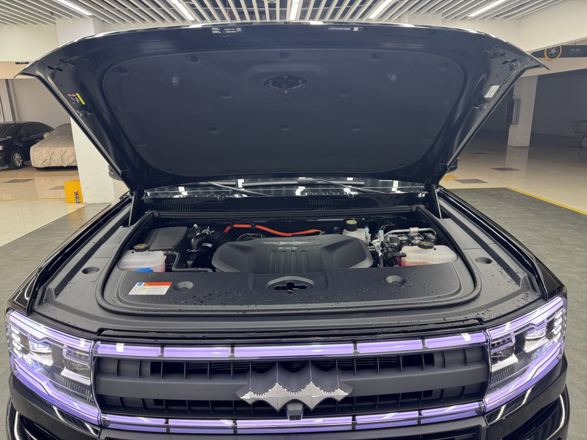 FangChengBao Leopard 5 2025 #20 FangChengBao Leopard 5 2025 car image #20