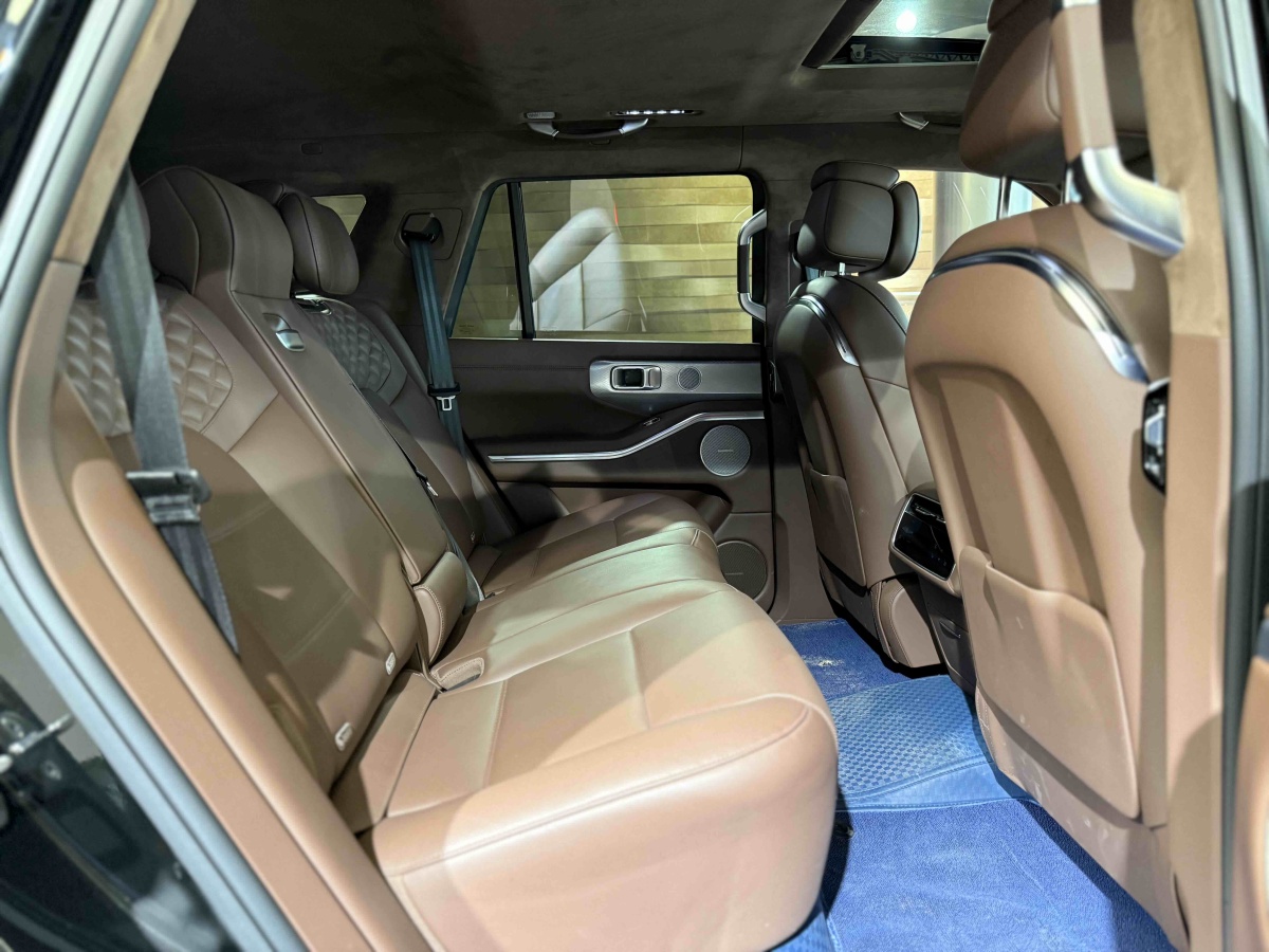 Tank 700 New Energy 2024 #20 Tank 700 New Energy 2024 immagine di auto #20