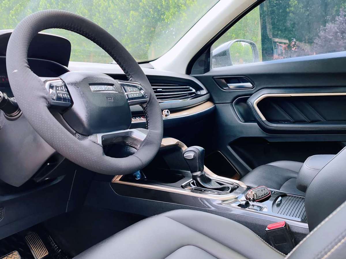 Haval 2019 car image #20