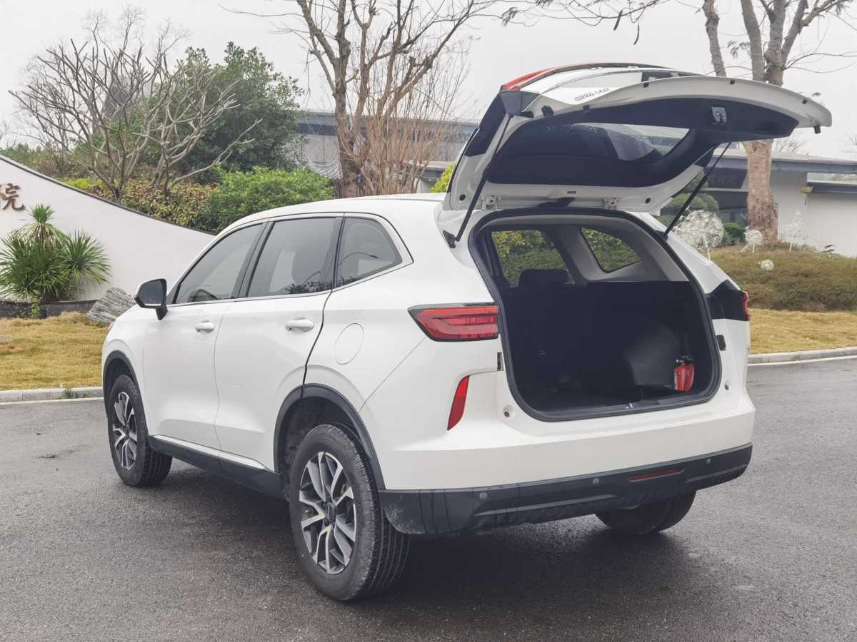 Haval H6 2021 #20 Haval H6 2021 car image #20