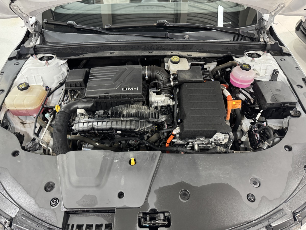 BYD Destroyer 05 2024 imagem de carro #20