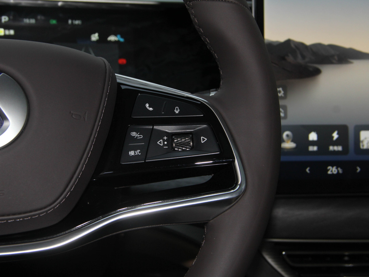 Denza D9 2025 car image #20