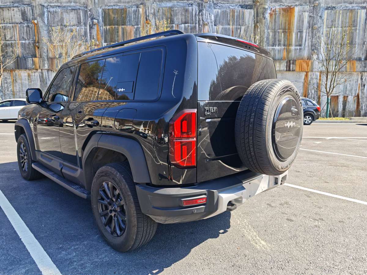 FangChengBao Leopard 5 2025 #20 FangChengBao Leopard 5 2025 immagine di auto #20