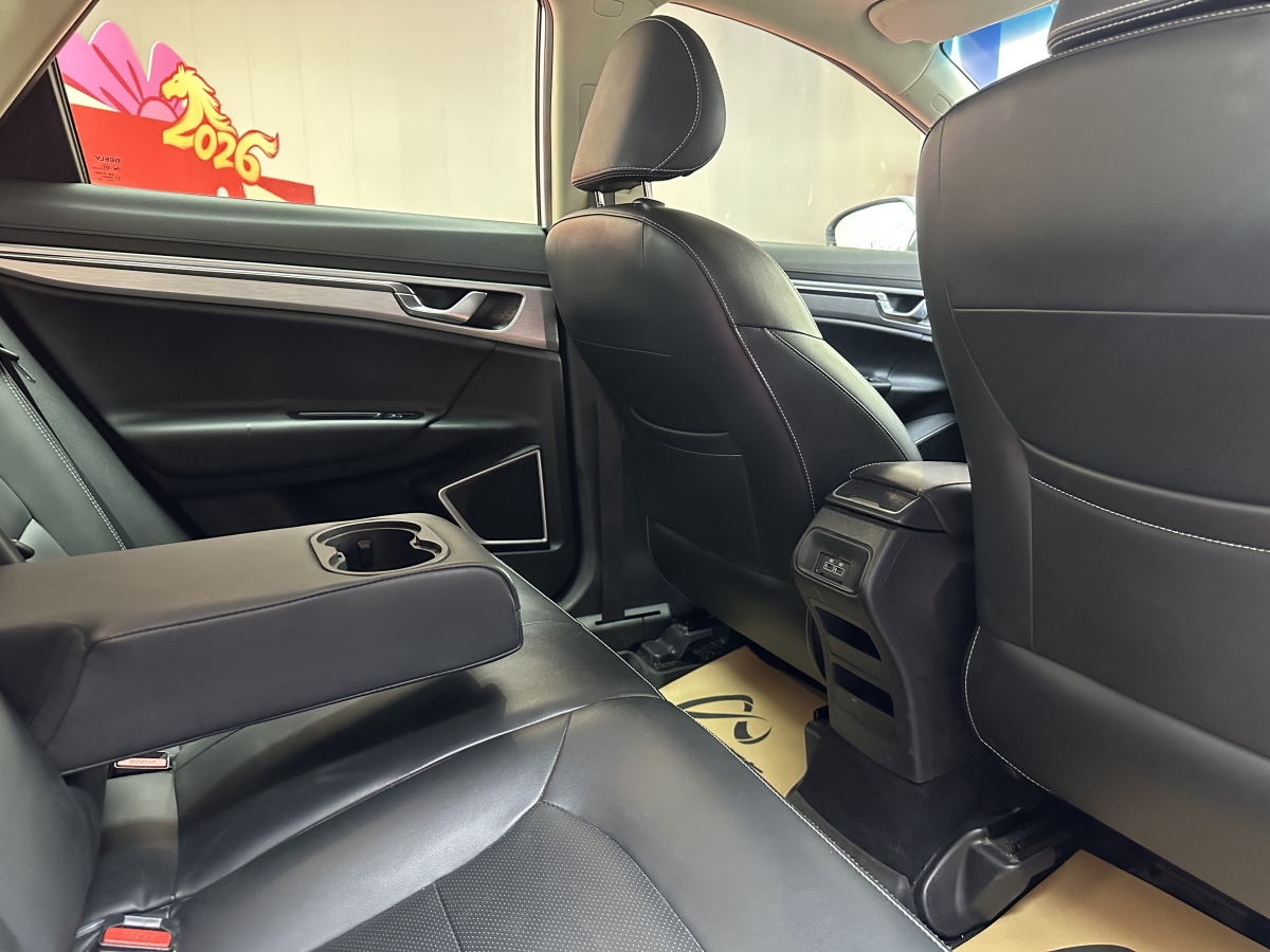 GEELY Emgrand GS 2019 #20 GEELY Emgrand GS 2019 car image #20