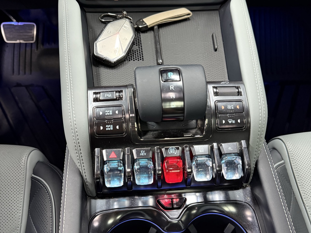 FangChengBao Leopard 5 2024 صورة سيارة #20