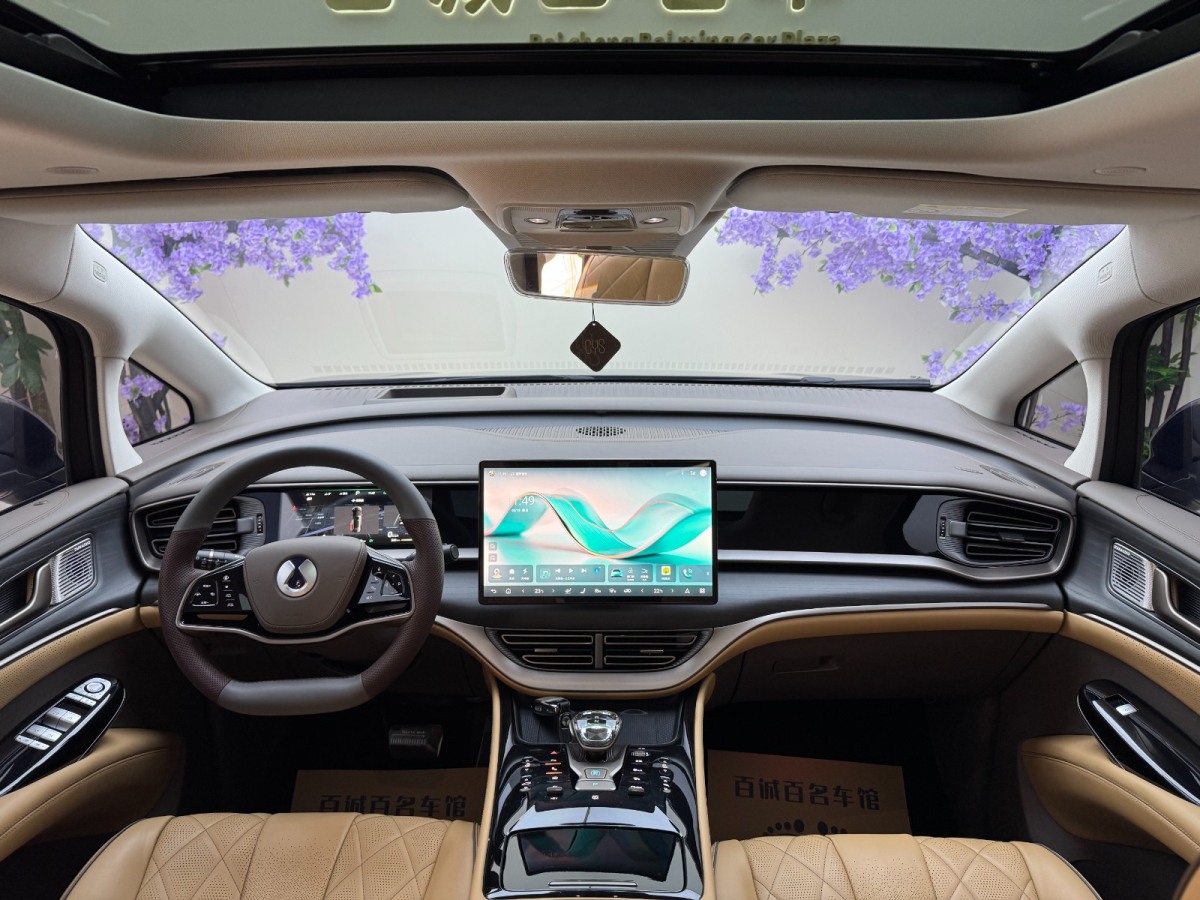 Denza D9 2023 image de voiture #20