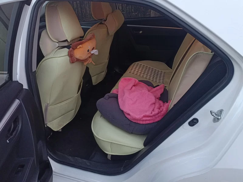 Toyota Corolla 2019 car image #20