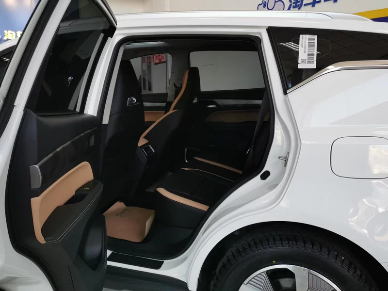 GEELY OkavangoPRO 2024 car image #20