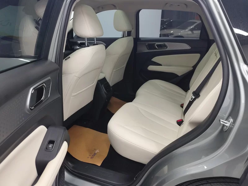 Haval Fierce Dragon 2023 car image #20