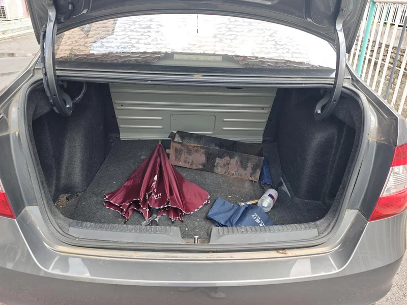 Skoda Rapid 2017 imagen de coche #20