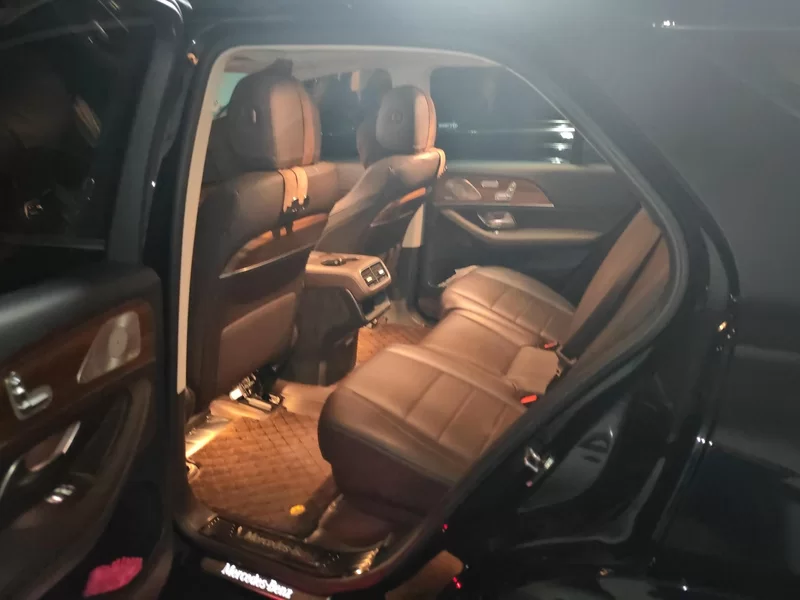 Mercedes-Benz GLE Class New Energy 2023 car image #20