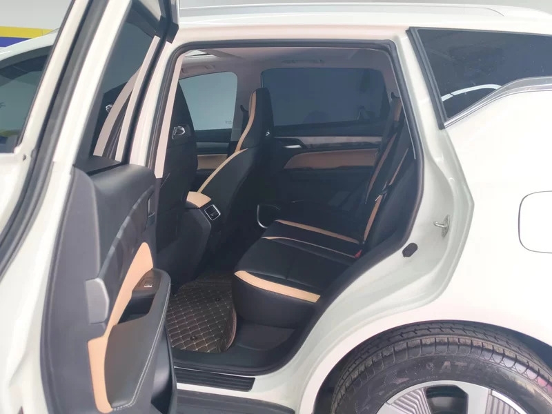 GEELY OkavangoPRO 2024 car image #20