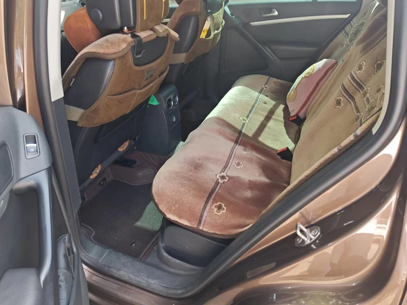 大众 Tiguan 2014 汽车图片 #20