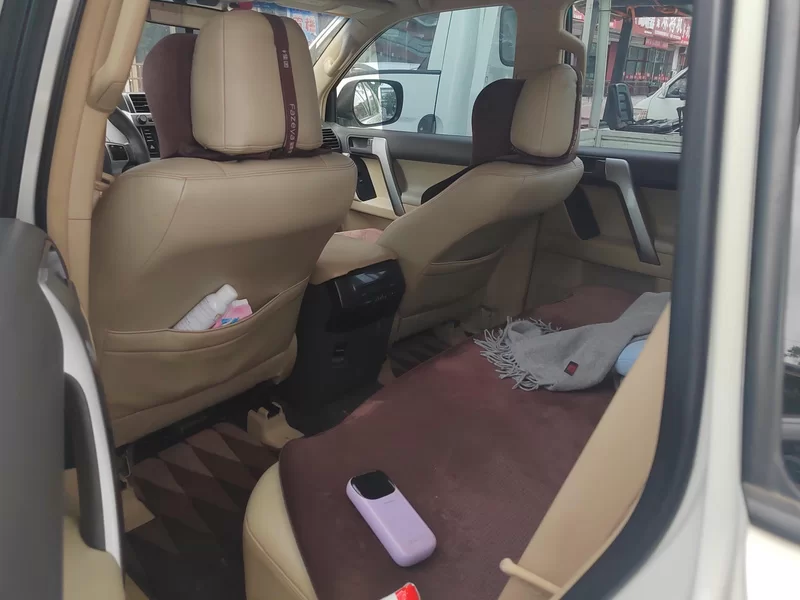 Toyota Prado (Imported) 2016 car image #20