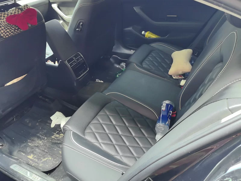 Volkswagen Magotan GTE 2023 car image #20