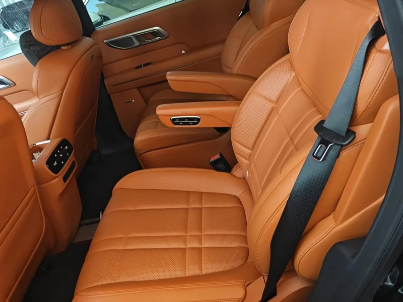 Deepal S09 2025 car image #20