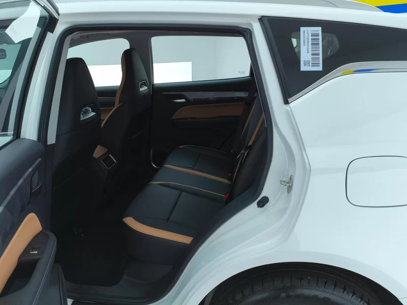 GEELY OkavangoPRO 2025 car image #20