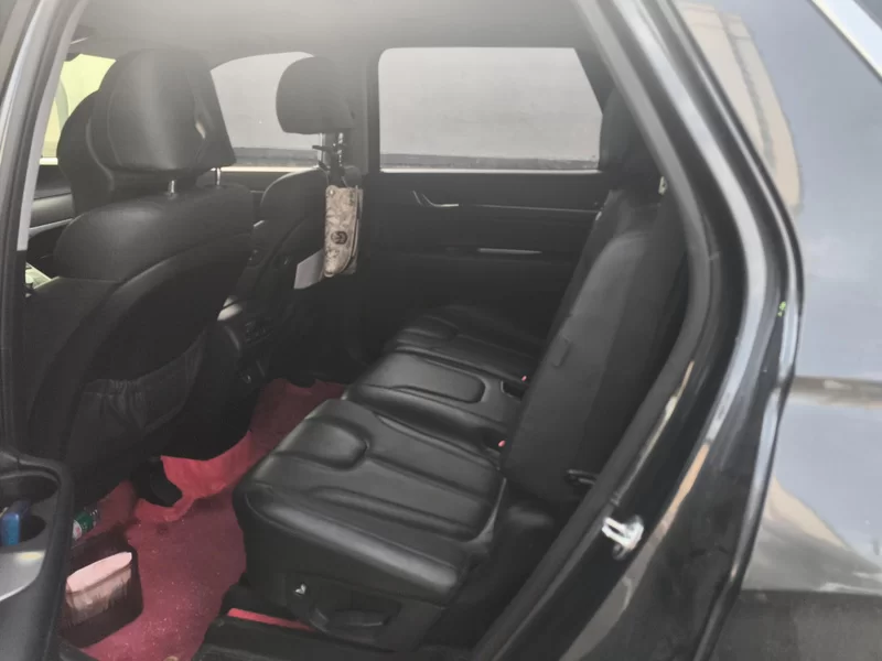 Hyundai Palisade 2021 #20 Hyundai Palisade 2021 car image #20