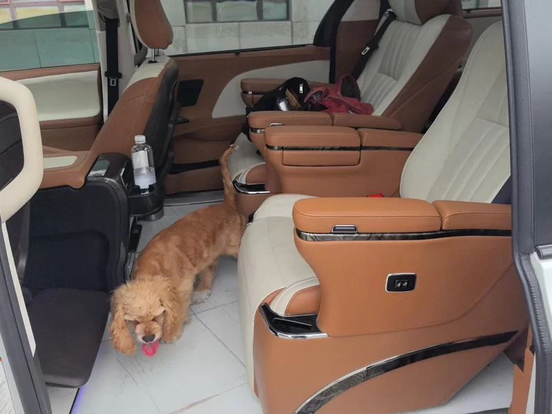 Toyota SIENNA 2018 #20 Toyota SIENNA 2018 صورة سيارة #20