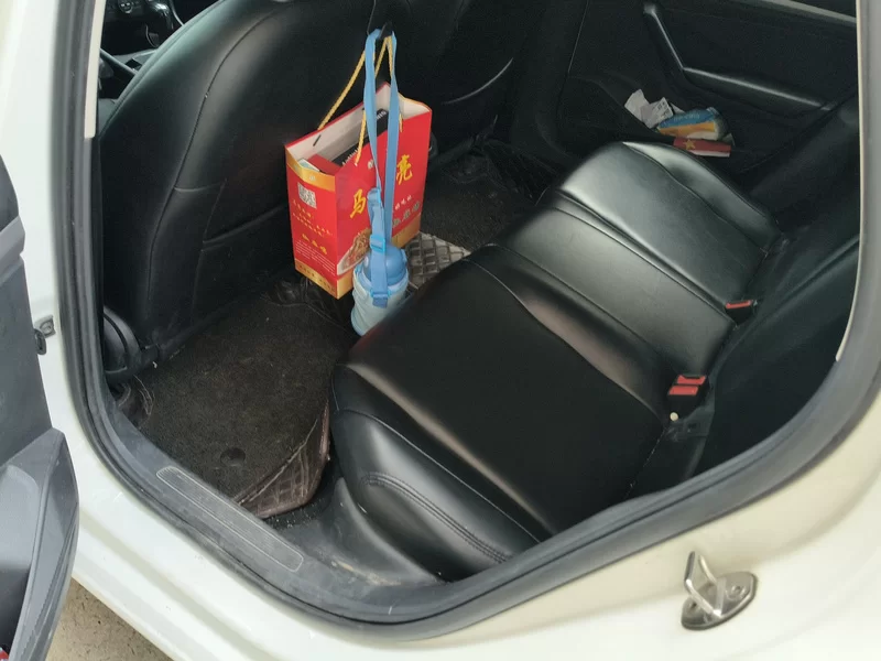 Volkswagen Lavida Pure Electric 2020 #20 Volkswagen Lavida Pure Electric 2020 car image #20