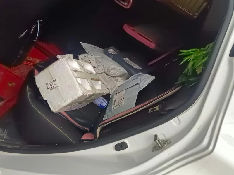 Changan BenBen E-Star 2021 #20 Changan BenBen E-Star 2021 car image #20