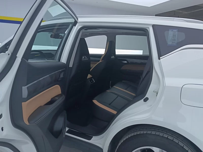 GEELY OkavangoPRO 2024 car image #20