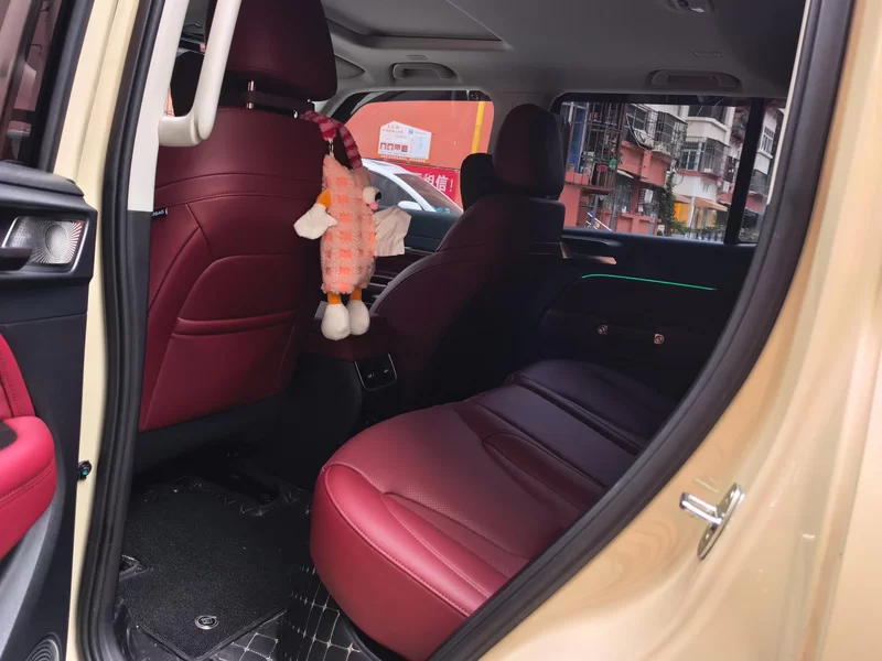 Tank 300 New Energy 2025 car image #20