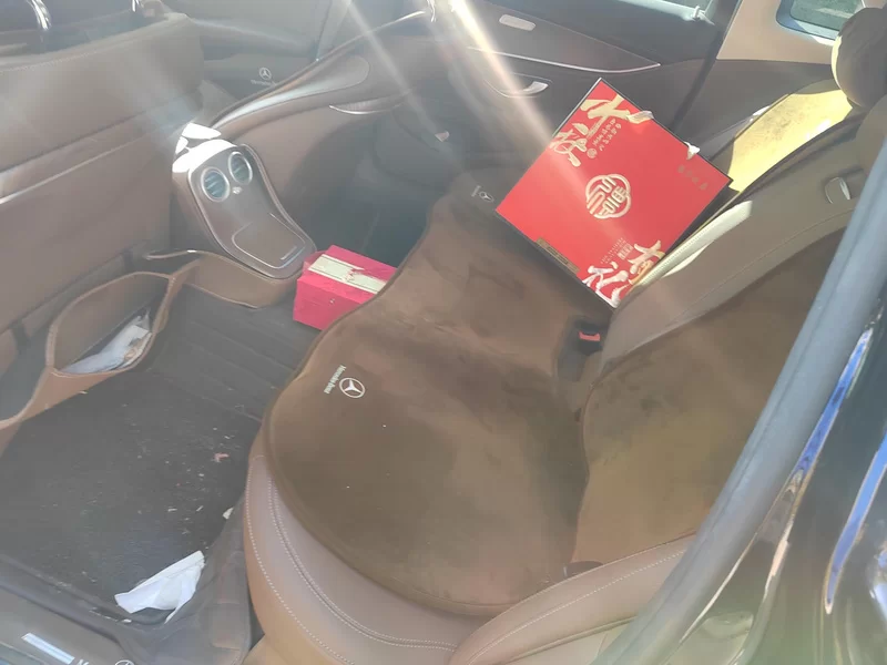 Mercedes-Benz E Class New Energy 2021 car image #20