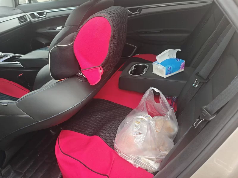 GEELY Emgrand GSe 2019 #20 GEELY Emgrand GSe 2019 car image #20