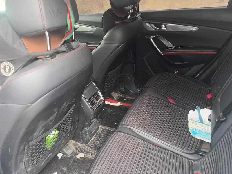 Changan CS55 2018 car image #20