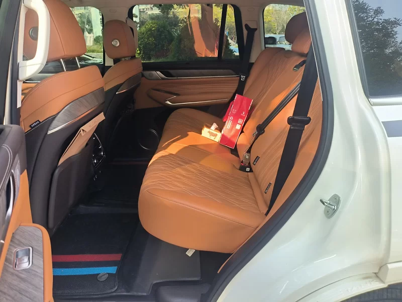 Tank 500 2023 car image #20