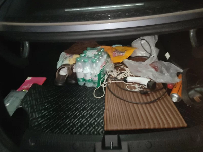 BYD Qin L 2024 #20 BYD Qin L 2024 car image #20