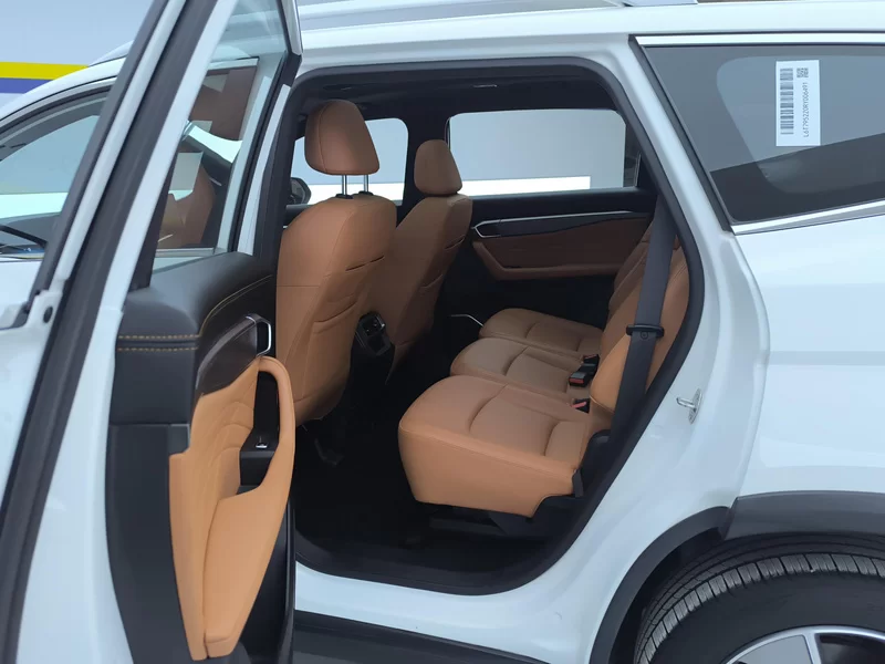 GEELY Okavango 2024 car image #20