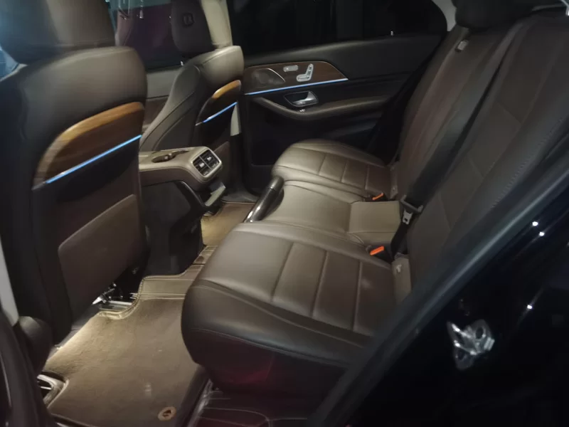 Mercedes-Benz GLE Class New Energy 2022 car image #20