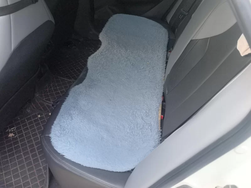 Changan Raeton Plus 2022 car image #20