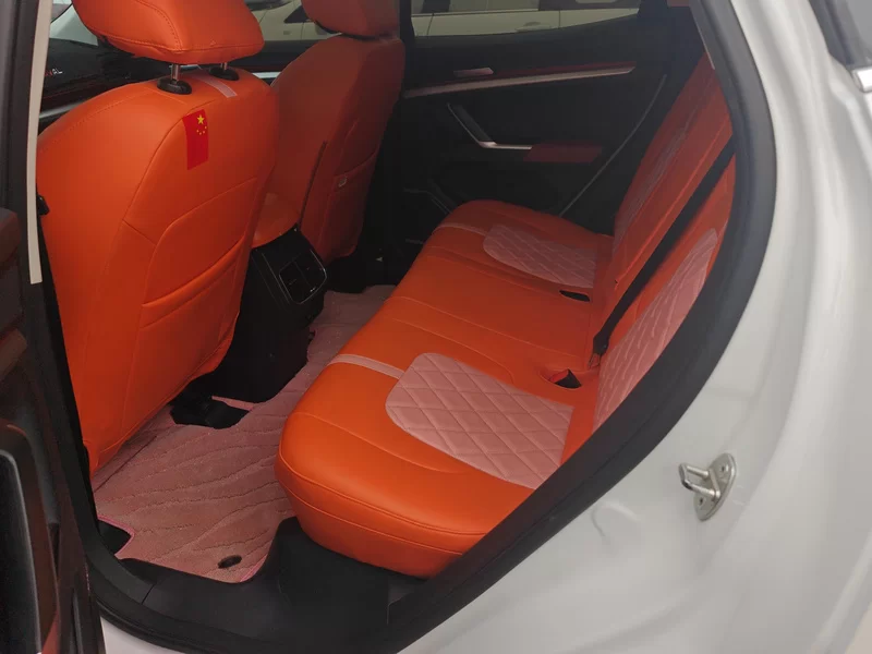 Haval H4 2018 car image #20