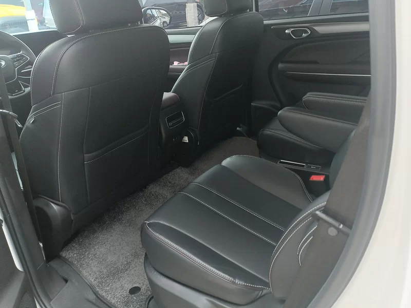 GAC Trumpchi M6 2024 car image #20