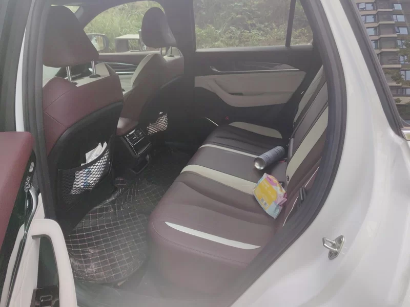 GEELY Tugella 2024 car image #20