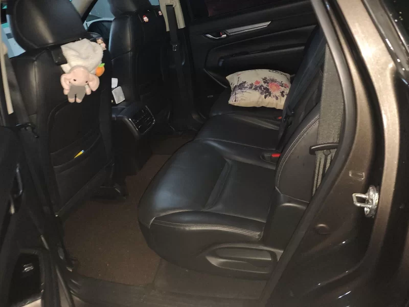 Mazda CX-8 2019 car image #20