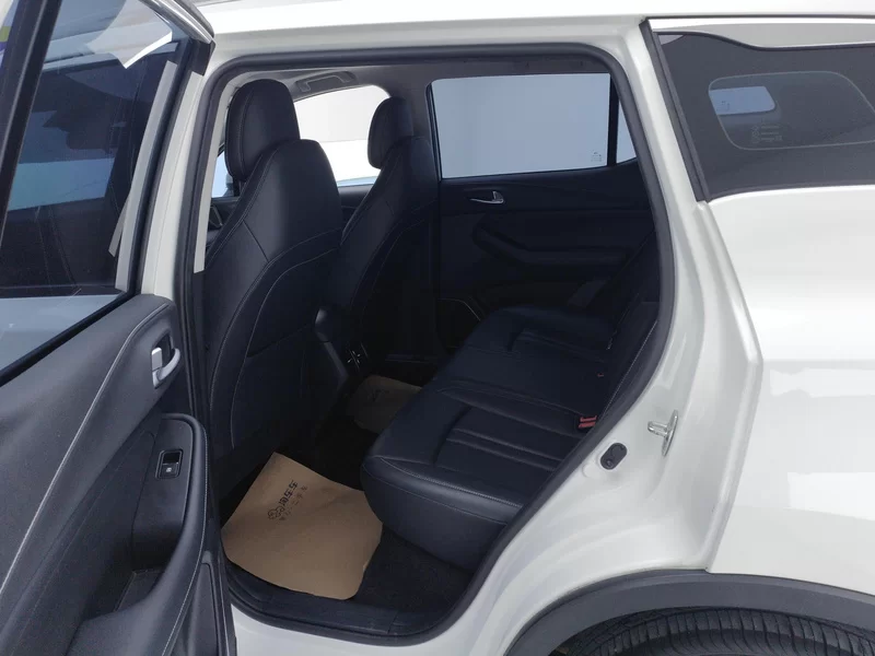 GAC Trumpchi GS4 2021 car image #20