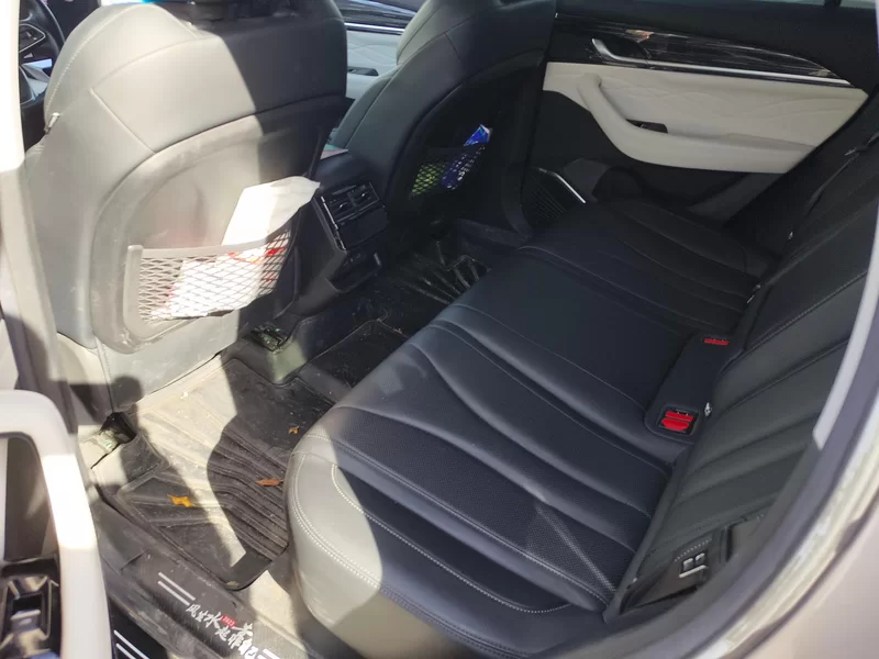 GEELY Tugella 2023 immagine di auto #20