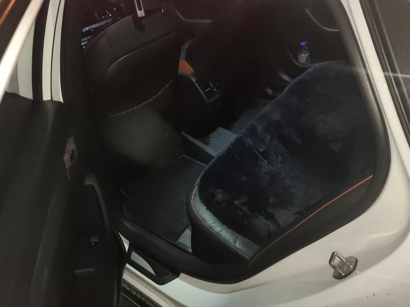 Hyundai Sonata 2015 car image #20