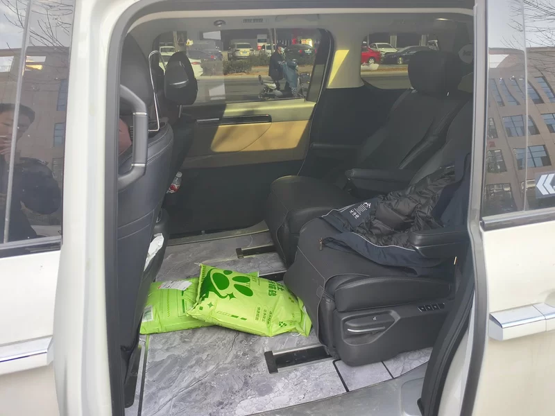 GAC Trumpchi E8 2024 car image #20